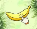 /data/image/game/banana-clicker-bg1.jpg